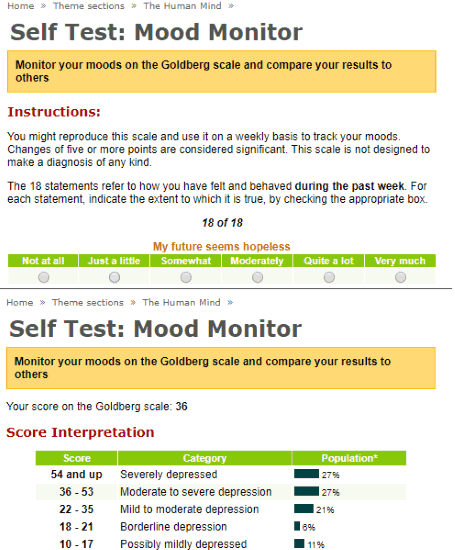Self Test Mood Monitor Website