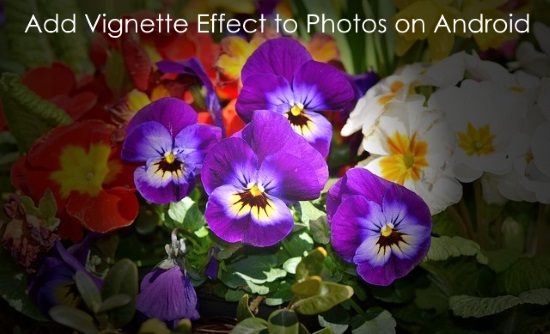 add vignette effect to photos
