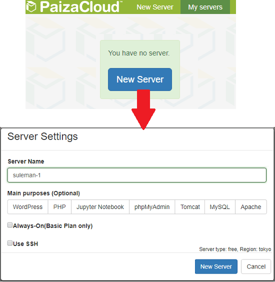 paiza cloud server