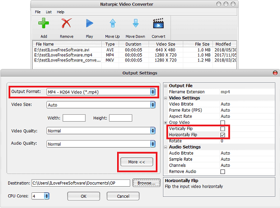 Naturpic Video Converter in action