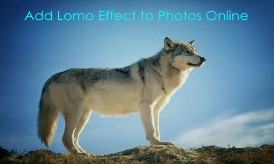 lomo effect