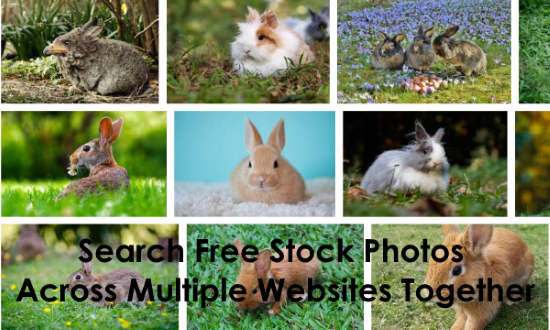 search free stock photos
