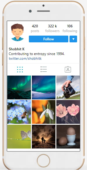 Instagram profile previewer