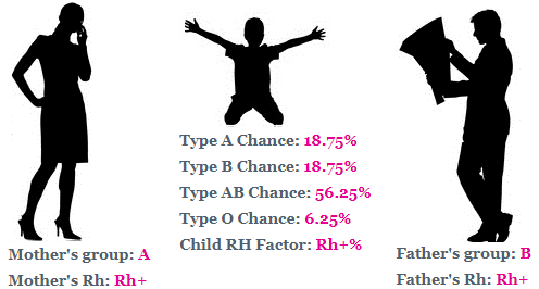 5 Free Online Baby Blood Type Calculator to Predict Blood Group of Child