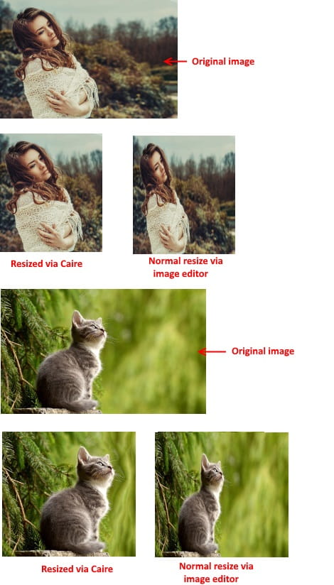 Intelligently Resize Images along one Dimension without disturbing Objects