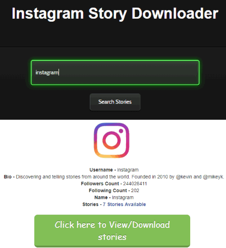 Wizblogger website's instagram stories downloader