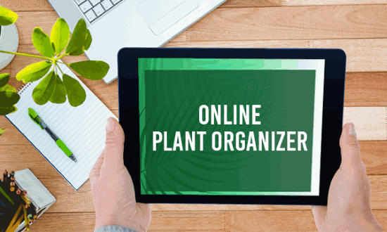 plant organizer