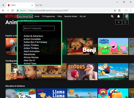 access Netflix hidden categories