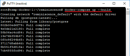 Docker command to start the remeniscence