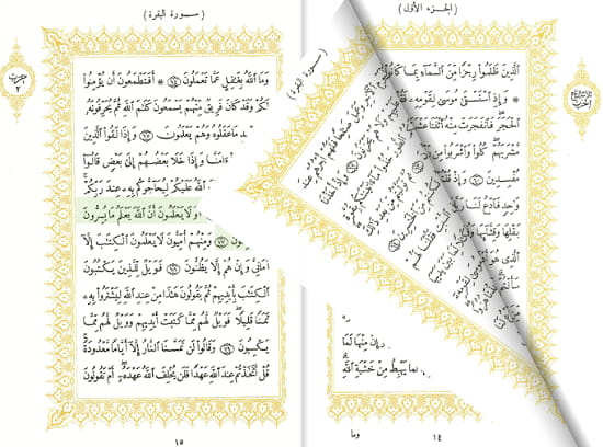 Read Quran Online for Free on These free Websites