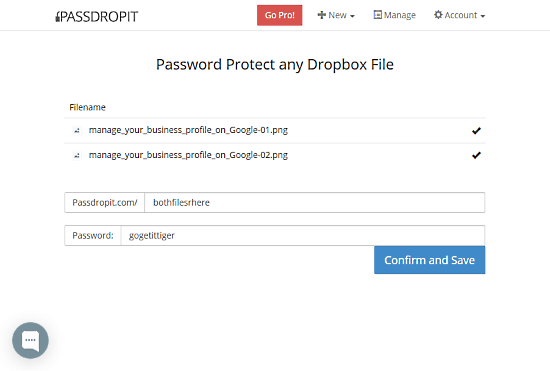 add password to Dropbox link