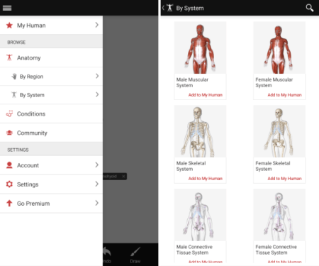 BioDigital 3D human anatomy