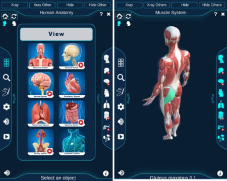 free 3D Human Anatomy Android app