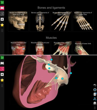 Anatomy Learning - 3D Atlas