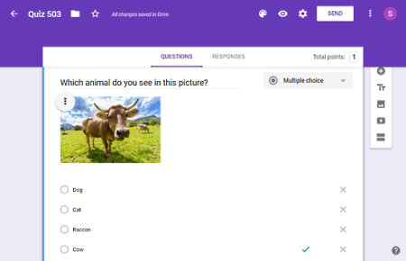 online quiz maker with photos, videos