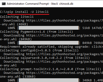 pip install litecli
