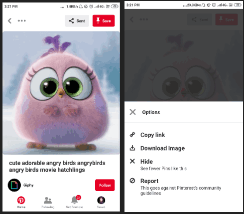 Download Pinterest GIF by native feature