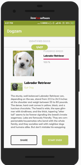 Identify Dog Breed By Photo