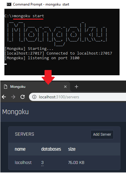 Mongoku database localhost