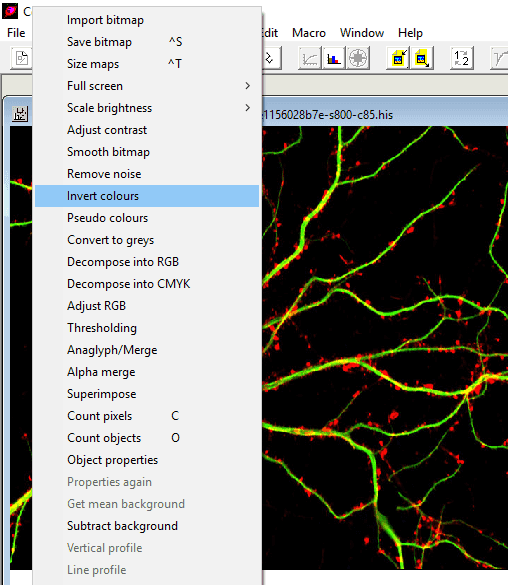 Bitmap options in Cells&Maps