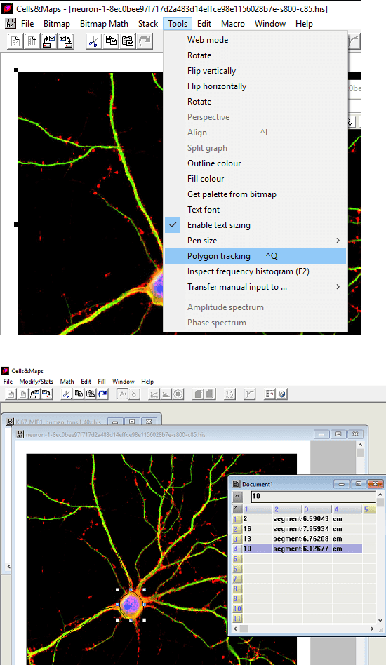 Cells & Maps measuring things