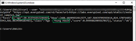 Age_recognition_api_cmd