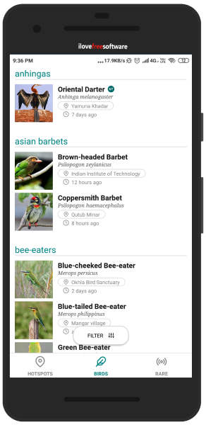 Bird guide Android app