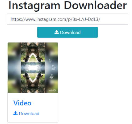 Instagram Video Downloader