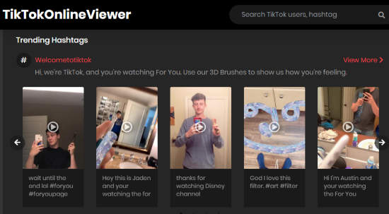 Search videos with online TikTok viewer