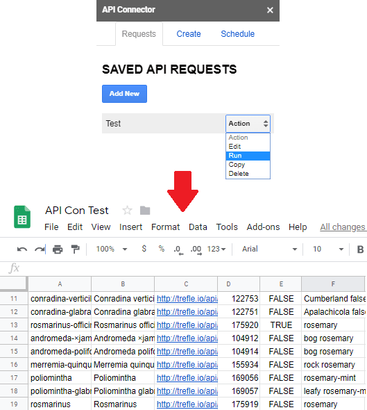 API connector in action