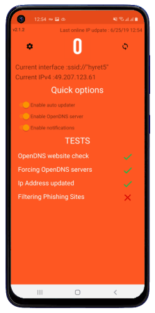 OpenDNS in action
