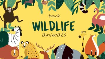 Interactive Wildlife Map to Track Species by Location, Biodiversity Facets