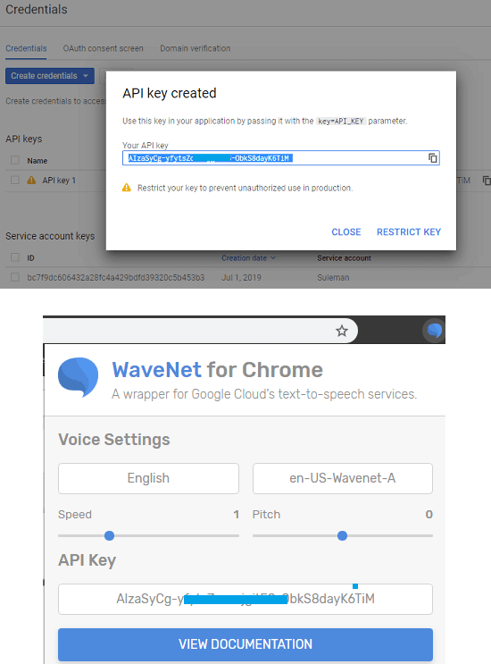 Add API key in wavenet for chrome