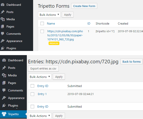 Tripetto forms and responses