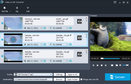 Aiseesoft Video to GIF Converter