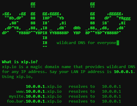 xip io free DNS wildcards provider