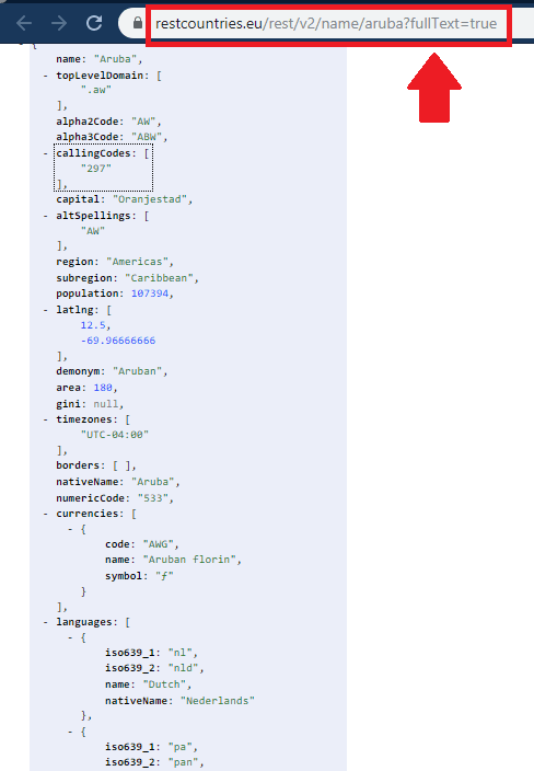 REST Countries API Syntax for Full Name