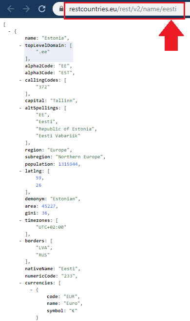 REST Countries API Syntax for Partial Name