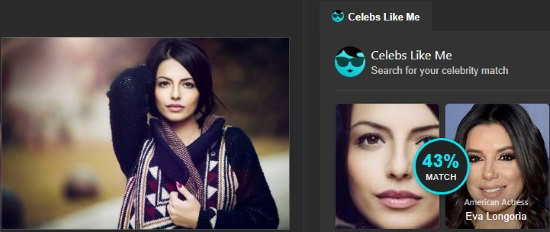 online celebrity look alike generator