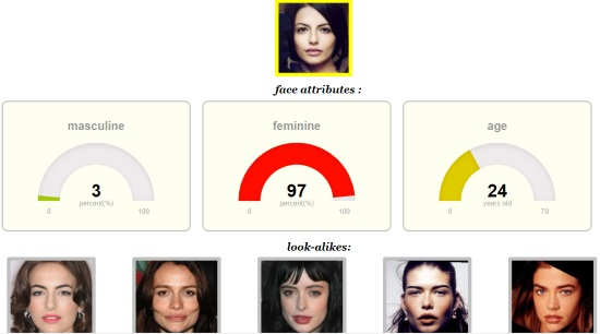 online celebrity look alike generator