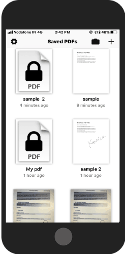 protect PDF setting a password