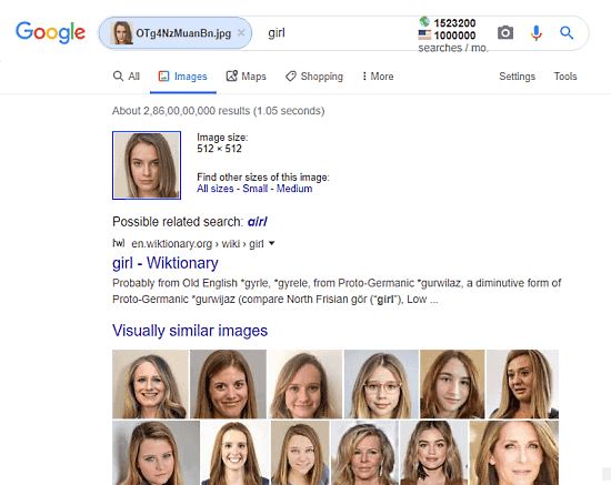 google images face search engine