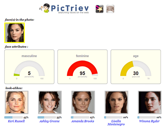 search face on the web with pictriev