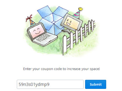 submit the coupon code