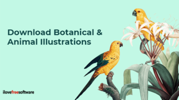 Download Botanical and Animal Illustrations