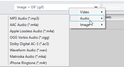 choose output format for the audio conversion