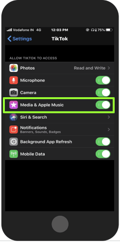 enable the music library in the TikTok app.png