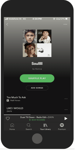 open your Spotify playlists