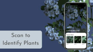 Identify Plants by Scanning using this Fee App