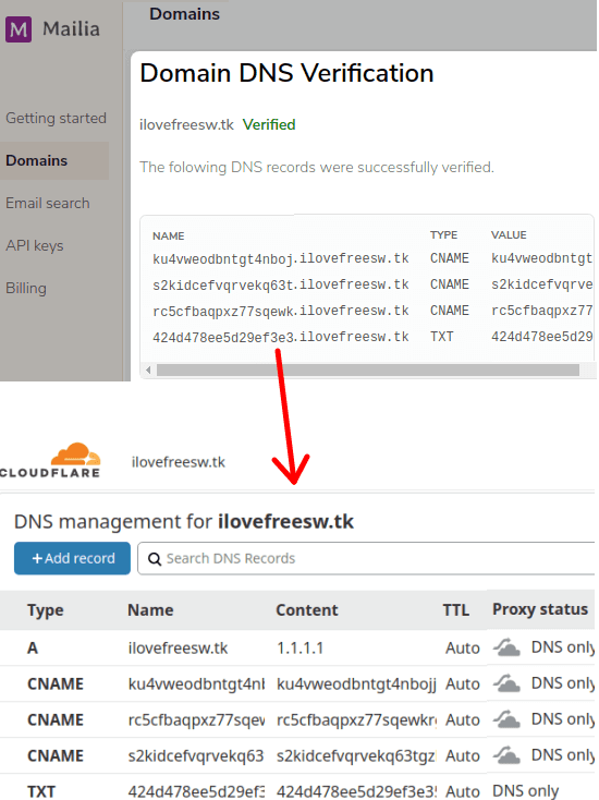 dns verification mailia